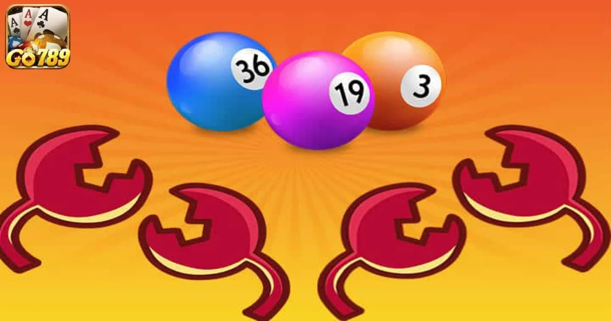 Đề 4 Càng là gì?